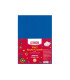 Fetru, 20x30cm, 180g/m2, albastru, 10 foi, MAXI